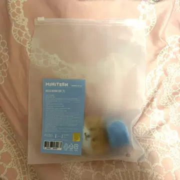 MINITEEN 찬다리 디노