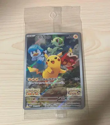 포켓몬 카드 모두 함께 모험 피카츄