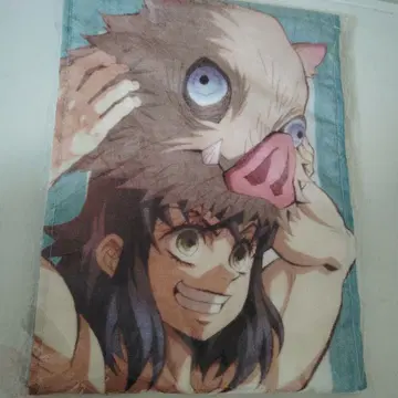 하시비라 이노스케 타월