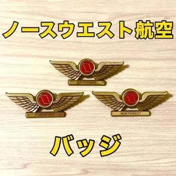 노스웨스트 항공 배지 3개