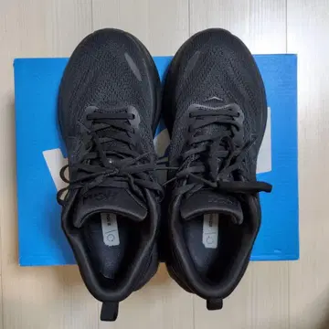 호카오네오네 본다이8 8D