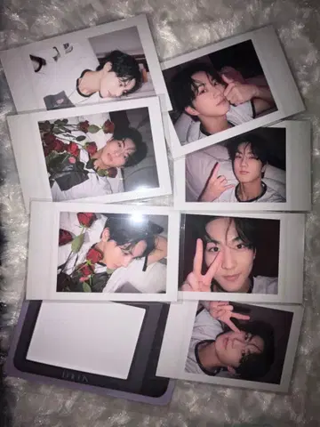 ENHYPEN 정원 dicon 폴라로이드 체키