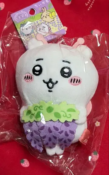 치이카와 아시카가 한정판 등나무 꽃 마스코트