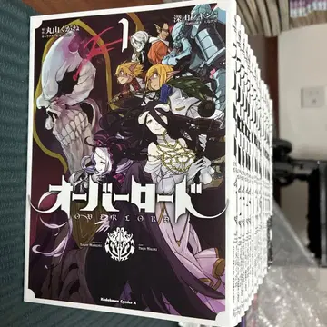 오버로드 전권 세트