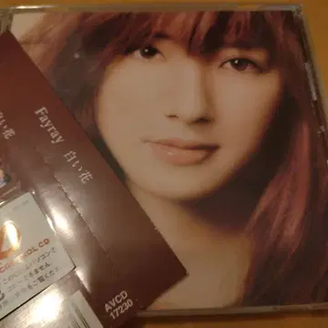 Fayray/화이트 꽃