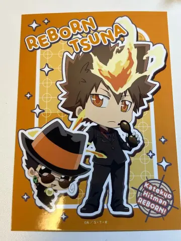 사와다 츠나요시 리본 트레이딩 브로마이드 Part5