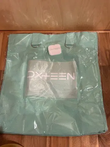 GIGO 한정판 DXTEEN 토트백