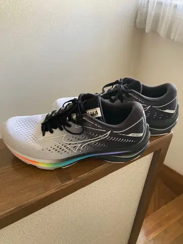 Mizuno WAVE RIDER 25 러닝화 26.0