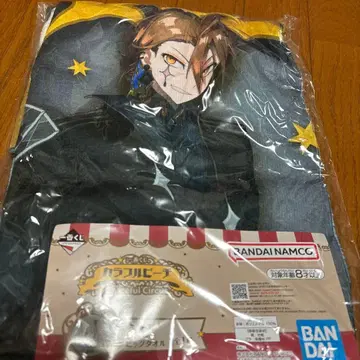 컬러풀 피치 빅 타월 J상