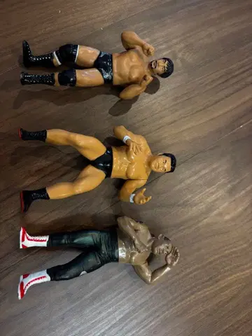 프로레슬링 피규어