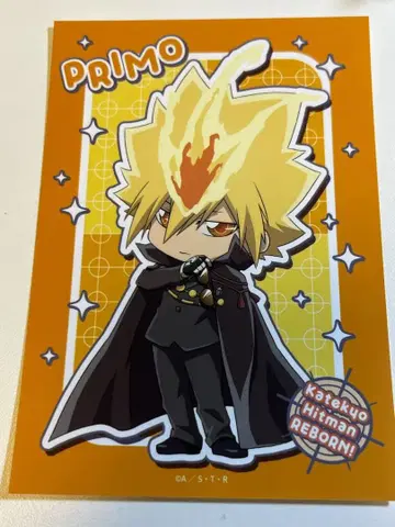 프리모 트레이딩 브로마이드 Part 5