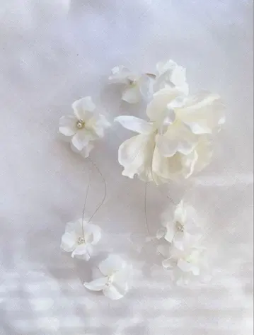 mois 모와 이어 후크 [ Hana KAZARI ]