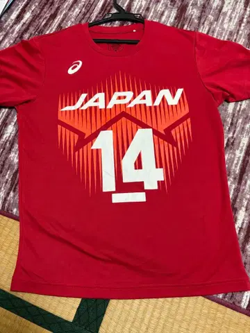 이시카와 유키 일본 대표 배구