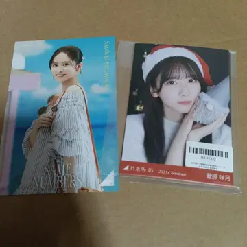 노기자카46 브로마이드 엽서 스가와라 사츠키 세트