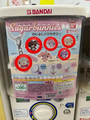 Sugarbunnies 캡슐 토이 표식 액세서리