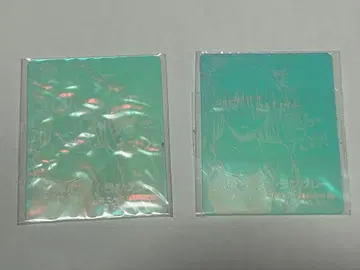 신세기 에반게리온 노조키미 방지 시트 소류 아스카 랑그레이 2매 세트