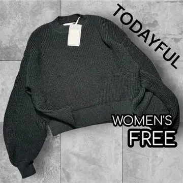 새상품 TODAYFUL 슬릿 슬리브 니트 Slit SleeveKnit