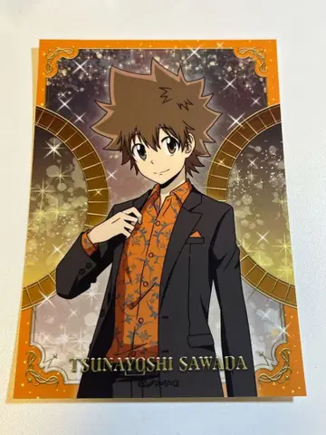 사와다 츠나요시 트레이딩 브로마이드 Part 5