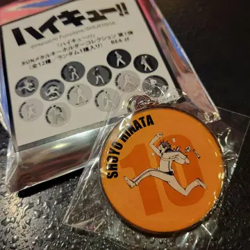 [ 메루카리 택배 ] 하이큐!! 히나타 쇼요 RUN 메탈 키링 컬렉션