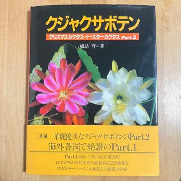 [레어 도서] 공작 선인장 크리스마스 캑터스 부활절 캑터스 Part.2