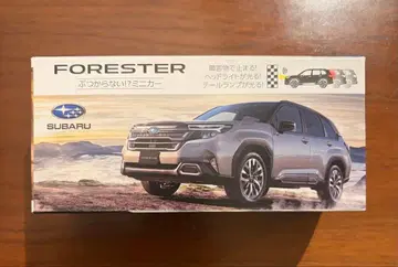 Forester 부딪히지 않는 미니카