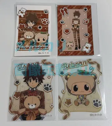 가정교사 히트맨 REBORN! 클리어 카드 사와다 츠나요시