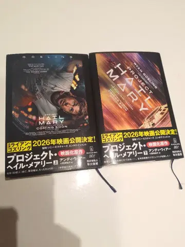 프로젝트 헤일 메리