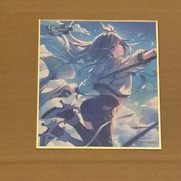 프로세카 색지 물방울 5점