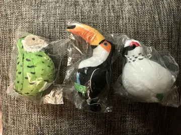 즉시 구매 환영 네이처 테크니컬러 3점 (카카포, 오니오오하시, 라이초)