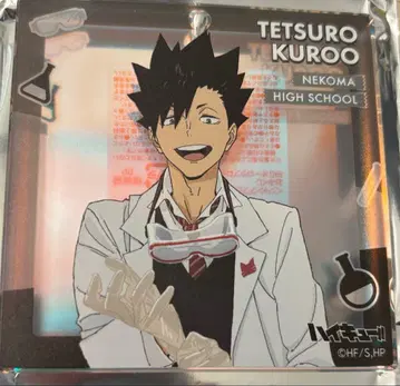하이큐!! 쿠로오 테츠로 아크릴 키링 아크릴 브로키