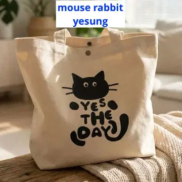 슈퍼주니어 예성 마우스래빗 백 화이트