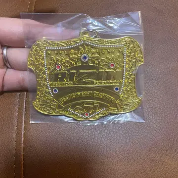 제일복권 RIZIN 번개 D상 챔피온 벨트 메탈 참 페더급