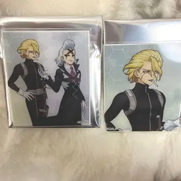 Dr.stone 트레이딩 아크릴 카드 보행 ver 스탠리 제노