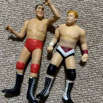 프로레슬링 피규어 2개 세트