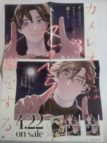 카멜레온은 손바닥에 사랑을 한다 3권 B3 포스터