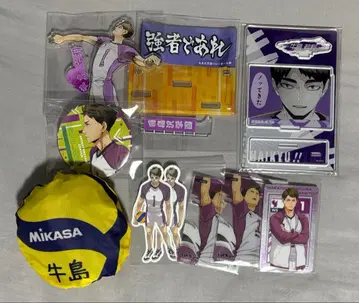 하이큐!! 우시지마 와카토시 세트