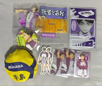 하이큐!! 우시지마 와카토시 세트