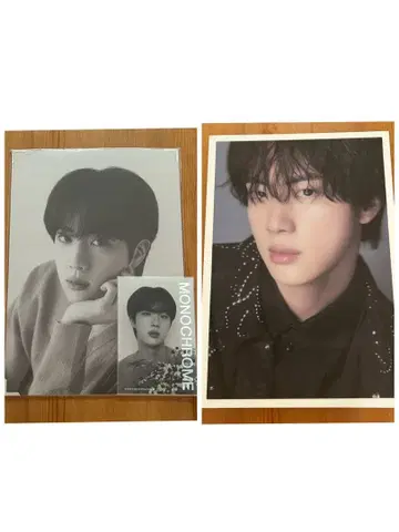 BTS JIN MONOCHROME 사진, 카드 & dicon 책자 세트