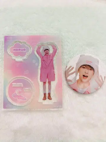 &TEAM HARUA 하루아 아크릴 스탠드 아크릴 스탠드 배지 카페