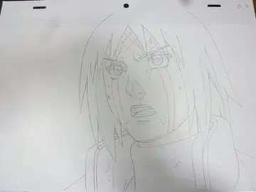 사쿠라 C2 직필 복사 등 레이아웃/원화/수정/동영상 나루토 NARUTO