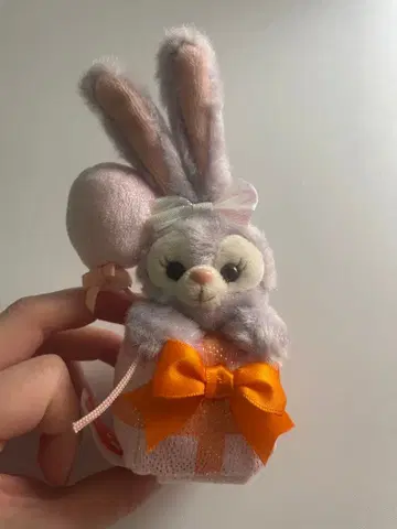 홍콩 디즈니 스텔라 루 커스터마이즈 20주년