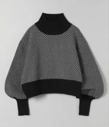 택 포함 새상품 JEANASIS W 페이스 리브 숏 하이넥