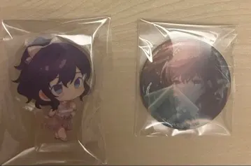 프로세카 아사히나 마후유 그리캔 페스티벌 코롯토