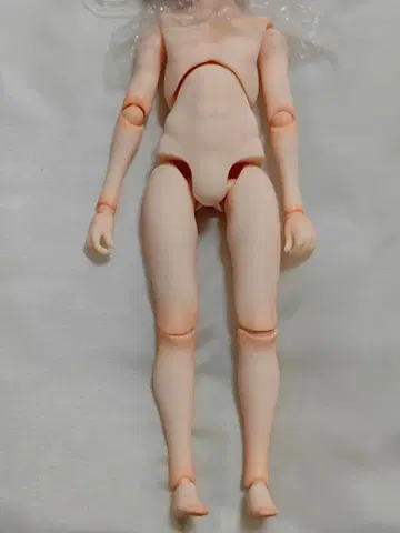 Harmonia bloom 탄력 바디만