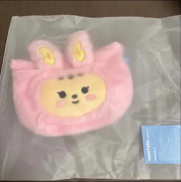 라무 파우치 정한 seventeen 세븐틴 miniteen