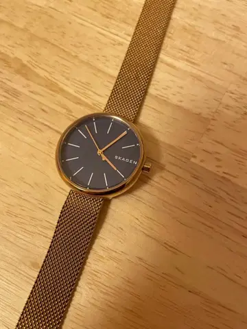 SKAGEN 손목시계 핑크 골드