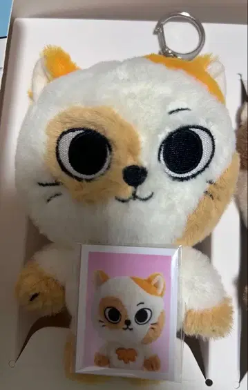 BOYNEXTDOOR BBNEXDO 푸네크도 키링 성호 켓피