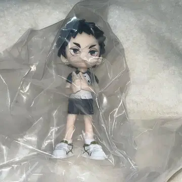 PalVerse 파루바스 하이큐!! 아카아시 케이지 2