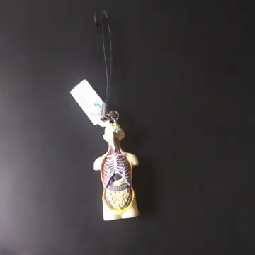 인체 해부 스트랩