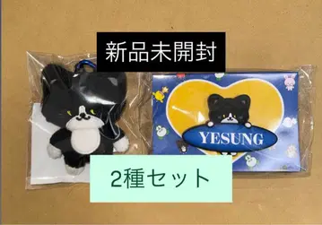 예성 팬 라이트 응원봉 액세서리 봉제 인형 키링 세트